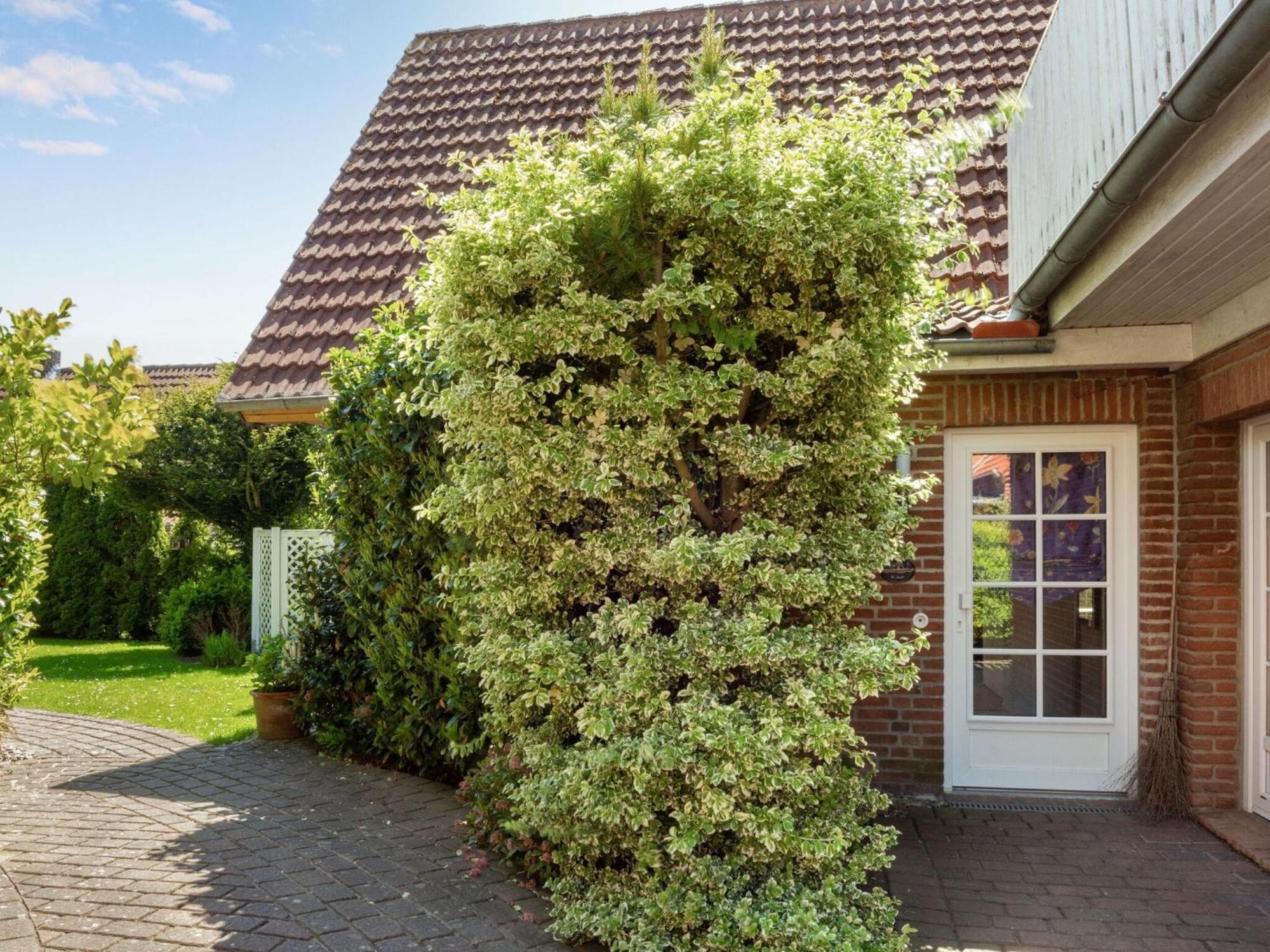 Enticing Holiday Home in Oldenburg with Garden near Sea Dannau Exterior foto